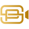 Paladin Studios Logo