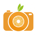 Panhandle Productions  Logo