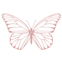 Papillon Visuals Photography Logo