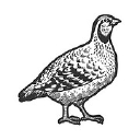 patrick partridge photography logo
