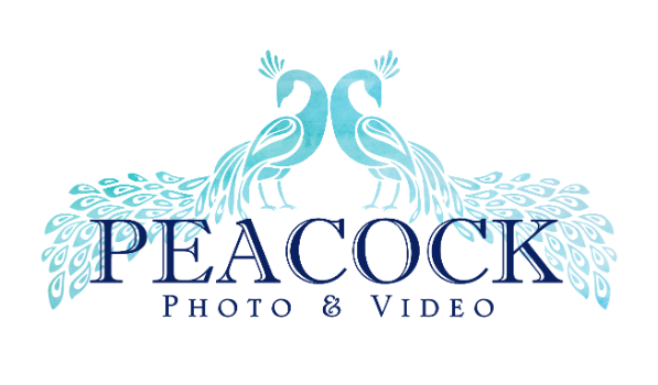 Peacock Photo and Video Logo