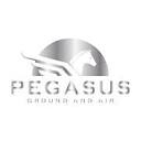 Pegasus Real Estate Media LLC Logo