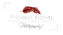 Phoenix Down Photography Logo