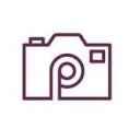 Picture Perfect Photography logo