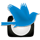 Pigeon Media Solutions logo