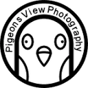 Pigeons View Aerial Photography Logo