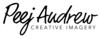 P J Andrew logo