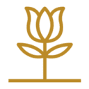 Prema Photo Logo