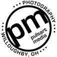 pulsart media photography Logo