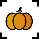 Pumpkin Studios Logo