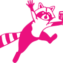 Raccoon on the Run Video logo