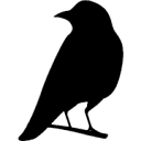 Ravenflight Web and Media Solutions Logo
