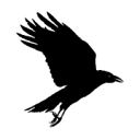 Raven Visual Solutions, LLC Logo