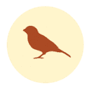 Real Video Production Co. Logo