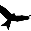 Red Kite Productions logo