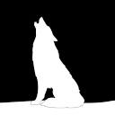 Rocking Wolf Media logo