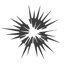 South Australian Film Corporation Logo