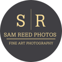 Reed Media Logo