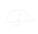 sea level media group Logo