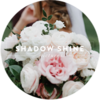 Shadow Shine Pictures Logo