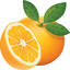 Shake The Tree Productions Logo