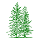 Silvaeroscape logo