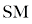 Smart Media, LLC Logo