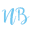 Something New and Blue Photography Videography Logo
