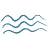 sound & sea photography Logo