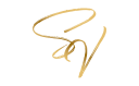 Source Video Logo
