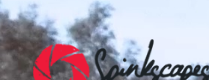 Spinkscapes Logo