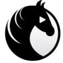 Stamina Vidéo logo