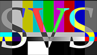 Standfield Video Services Logo