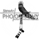 StewArt Photography logo