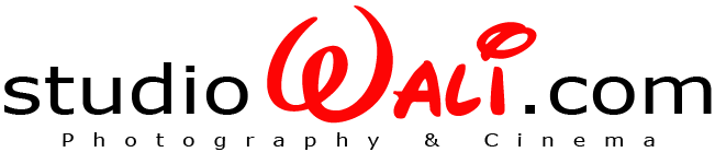 Studio Wali Logo