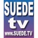 suede tv & recording studio Logo