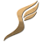 Sweven Studio  logo