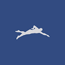 swimteam Logo