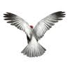 teneight - Commercial Photographers logo