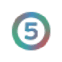 The 5 Stones Group Logo