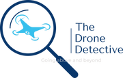 The Drone Detective Logo
