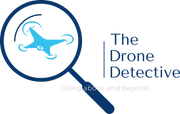 The Drone Detective logo