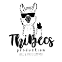 ThiBecs Production Logo