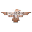 Thunderbird Digital Logo