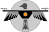 Thunder Bird Productions Logo