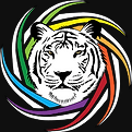 www.tigereyemedia.com Logo