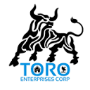 Toro Enterprises Corp Logo