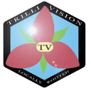 Trillivision Media House Logo