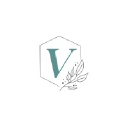 Van Dam Visuals Logo