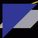 Visual Enterprise Systems, Inc. Logo
